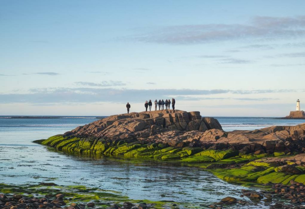 Activités à Dol-de-Bretagne : découverte et tourisme en Bretagne