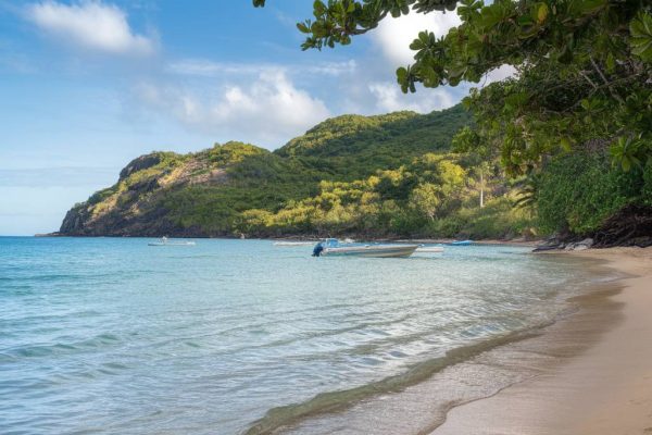 Anse de la Vierge : une crique préservée pour un tourisme authentique Anse de la Vierge : une crique préservée pour un tourisme authentique