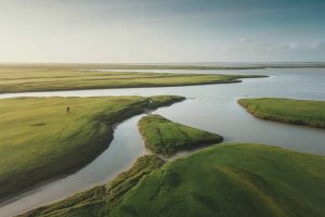 Les marais salants de Guérande : balade entre patrimoine, nature et savoir-faire breton